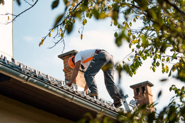 Best Best Roofing Contractors  in Riverside, IL