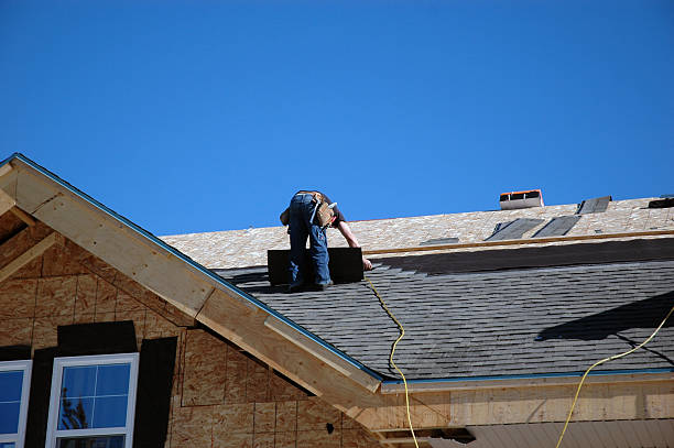 Roof Gutter Cleaning in Riverside, IL